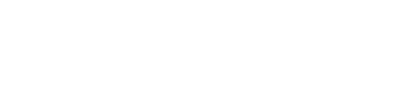 ES project